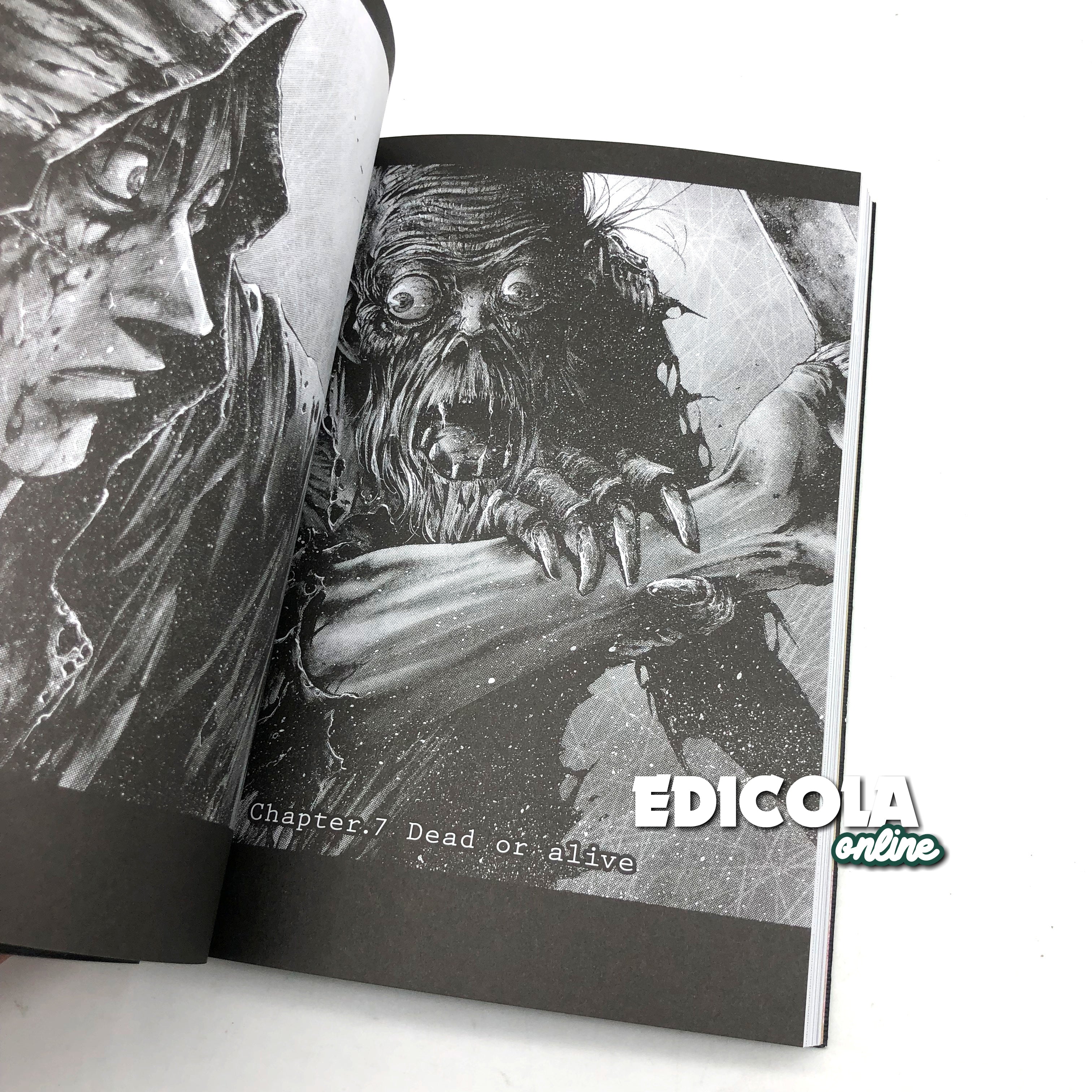 Fumetto Manga di Masasumi Kakizaki - HIDEOUT Variant Cover - Image 5